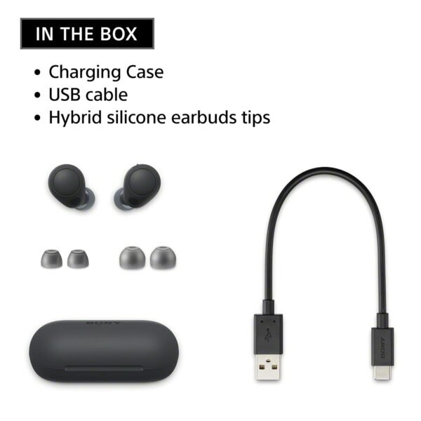 Sony WF-C700N Noise Cancellation Bluetooth Earbuds with Mic, TWS, Up to 20Hrs Battery, Adaptive Sound Control- Black - Image 2